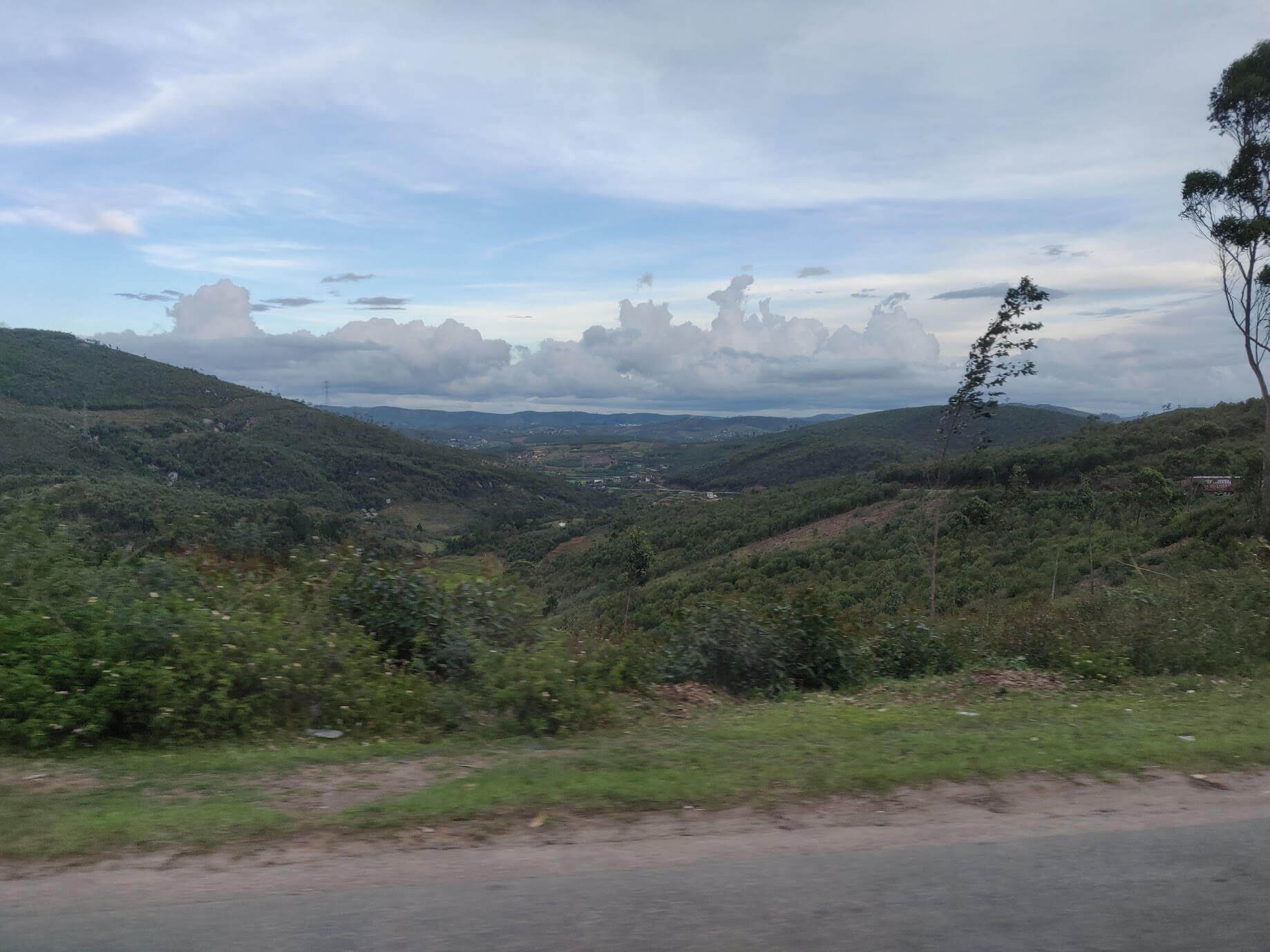 The hillsides are covered in Eucalyptus