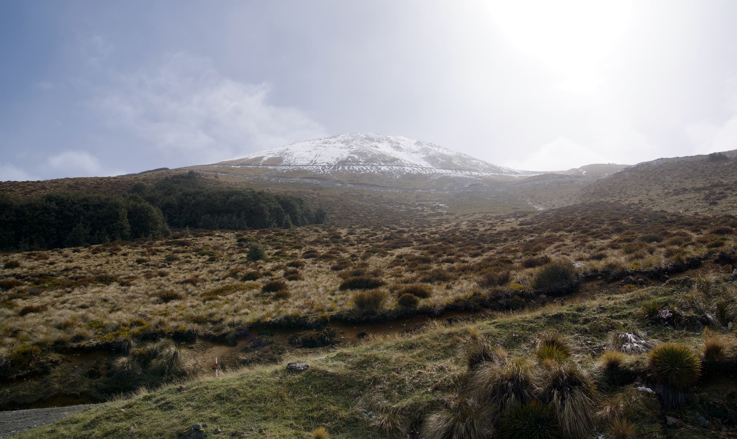 Looking up towards the peak, leafy forests give way to snow-covered shrubs